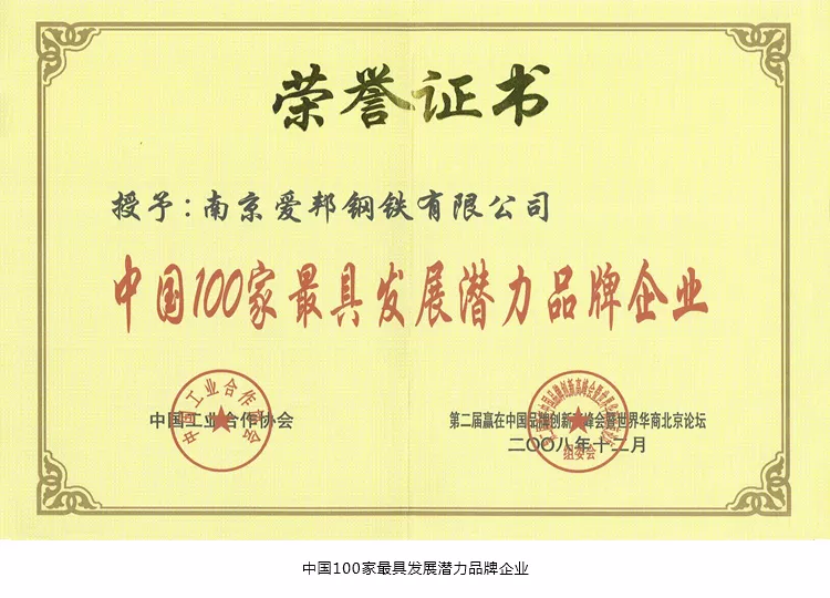 2008年中国100家最具发展潜力品牌企业